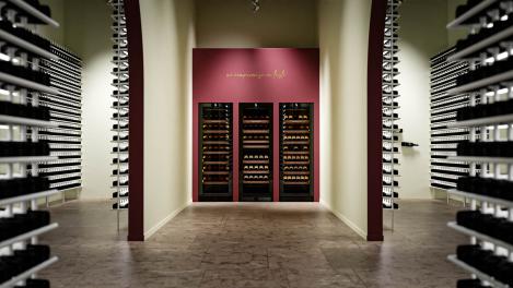 From Hobby to Wine Collector