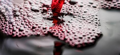 In Vino Veritas: Eine tiefgehende Betrachtung der Bedeutung von Wein